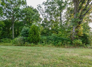 3517 E. Harbor Drive